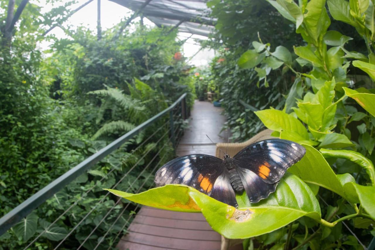 Hotel Batchelor Butterfly Farm Extérieur photo