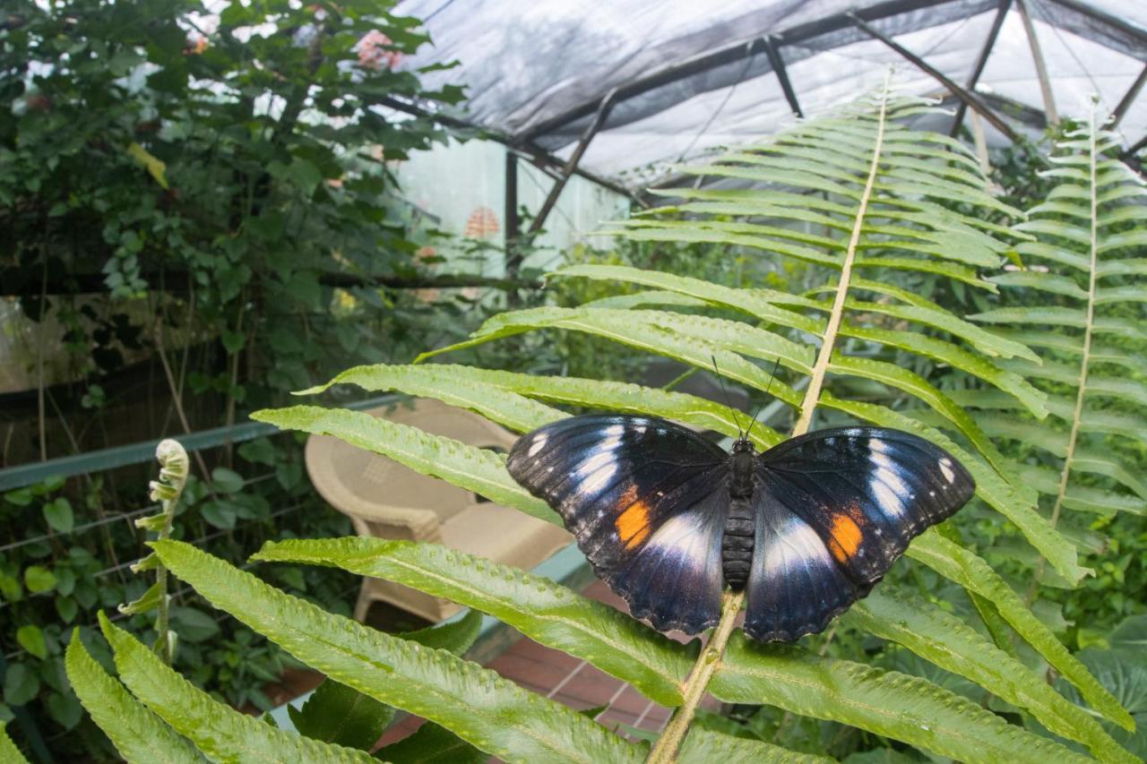 Hotel Batchelor Butterfly Farm Extérieur photo